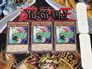 Harpie Harpist 3 rare, set of 3 Tera.