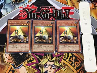 Pyramid Turtle 2 rare, set of 3 Tera.