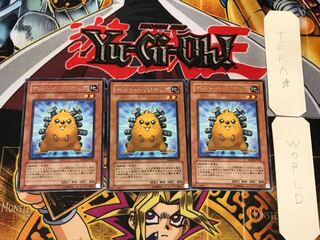 Quillbolt Hedgehog 2 rare, set of 3 Tera.