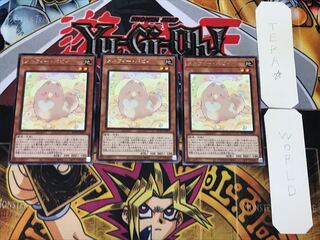 Melffy Puppy 3 Rare Set of 3 Tera