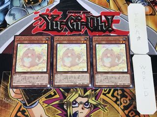 Melffy Puppy 4 Rare Set of 3 Tera