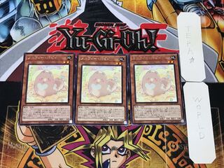 Melffy Puppy 5 Rare, set of 3 Tera