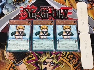 Rescue Hamster 1 rare, set of 3 Tera.