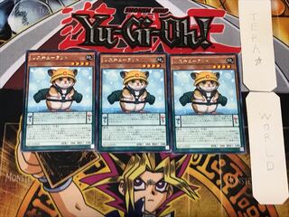 Rescue Hamster 4 rare, set of 3 Tera.