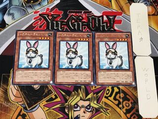 Rescue Rabbit 1 rare, set of 3 Tera.