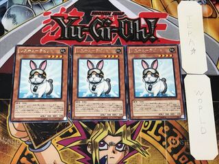 Rescue Rabbit 2 rare, set of 3 Tera