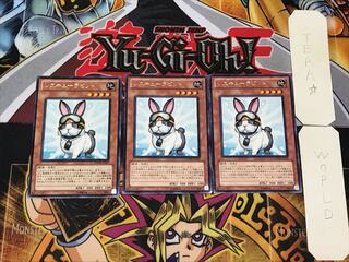Rescue Rabbit 3 rare, set of 3 Tera