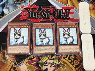 Rescue Rabbit 4 rare, set of 3 Tera.