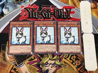 Rescue Rabbit 5 rare, set of 3 Tera.