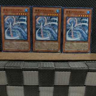 Popotan] Yu-Gi-Oh! 9736 Divine Dragon Aquabizarre 3 normal