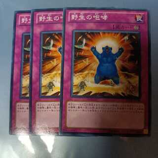 Howl of the Wild Normal