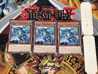 海亀壊獣ガメシエル 5 レア 3枚セット てら