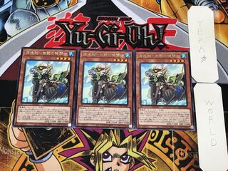 Umi Zouzou - White Bearded Engineer - 1 rare, set of 3, Tera.