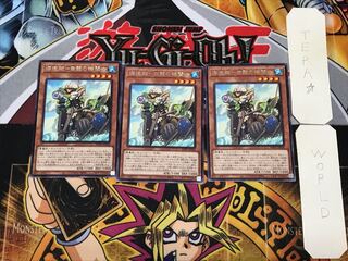 Umi Zouzou - White Bearded Engineer - 4 Rare, set of 3 Tera.