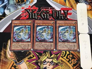 Rainbow Dragon 3 rare, set of 3 Tera.