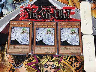 Vanity's Ruler 3 rare, set of 3 Tera.