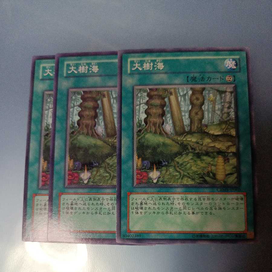 大樹海 ノーマル　☆