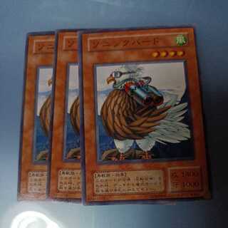 Sonic Bird Normal ☆ Early 2nd period