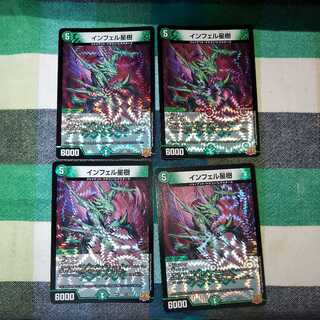 Infelix star tree (species of sedge, Infelix infertilis)