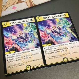 エメスレムルミナリエ　2枚