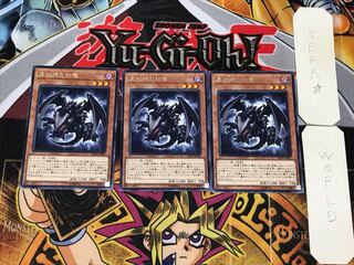 真紅眼の幼竜 5 レア 3枚セット てら