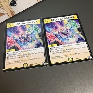 エメスレムルミナリエ　2枚