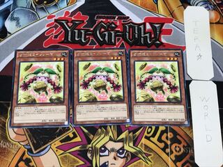 Prediction Princess Coinorma 2 rare, set of 3 Tera