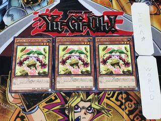 Prediction Princess Coinorma 4 rare, set of 3 Tera.