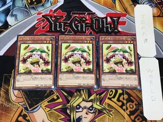 Prediction Princess Coinorma 5 Rare Set of 3 Tera