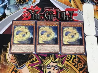 Tenwei Ryu - Ashna 3 rare, set of 3 Tera.