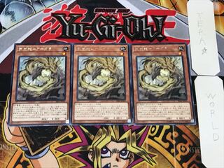 Tenwei Ryu - Ardala 3 rare, set of 3 Tera.