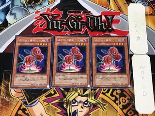 返り咲く薔薇の大輪 1 レア 3枚セット てら