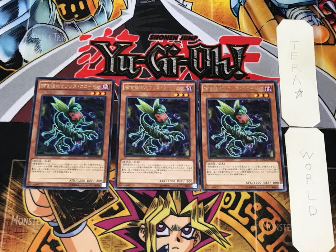 Predaplant Ophrys Scorpio 1 rare, set of 3 Tera.