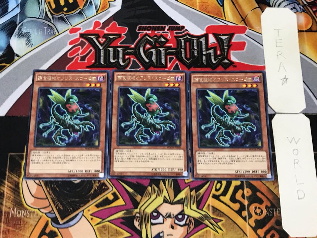 Predaplant Ophrys Scorpio 3 rare, set of 3 Tera.