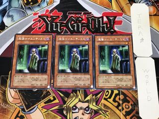 Magical Scientist EE1 4 Rare, set of 3 Tera.