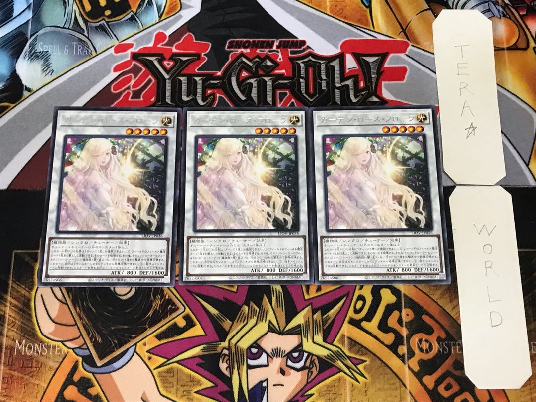 Garden Rose Flora 1 rare, set of 3 tera