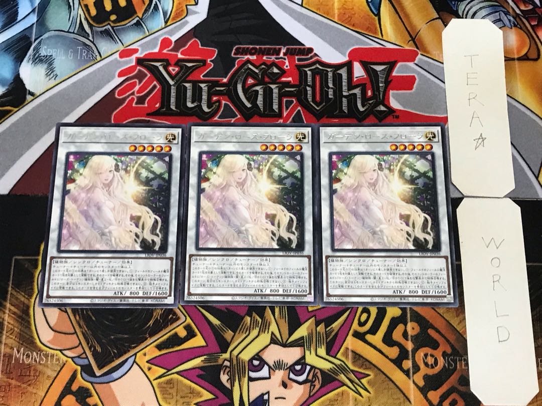 Garden Rose Flora 2 rare, set of 3 tera