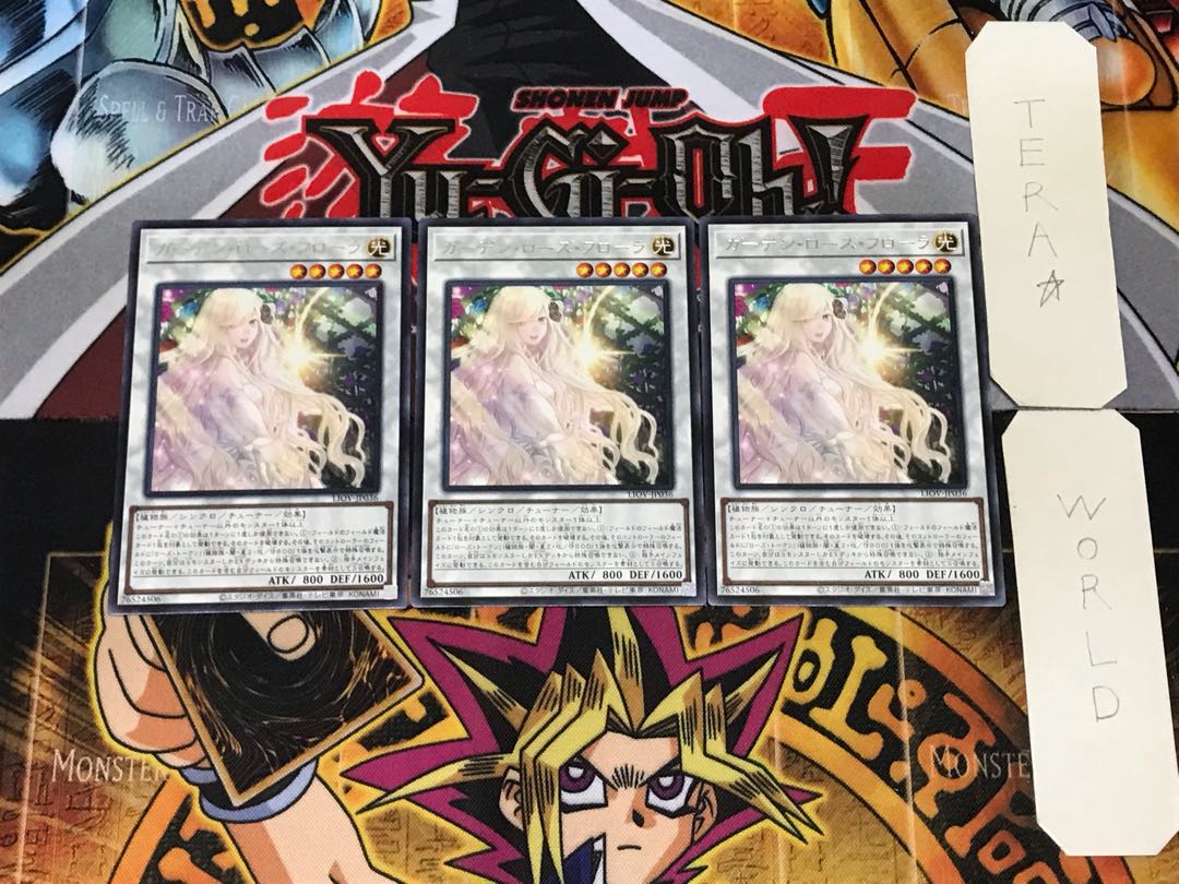 Garden Rose Flora 3 rare, set of 3, Terra