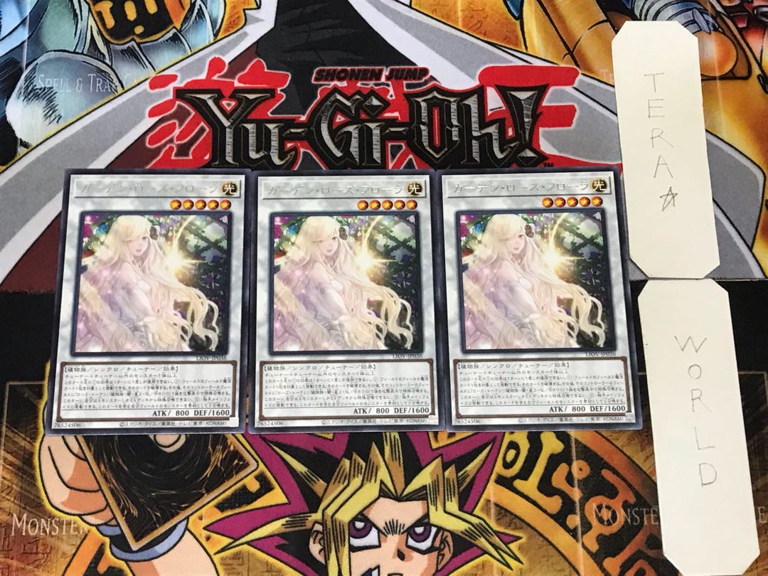 Garden Rose Flora 4 Rare, set of 3 Tera