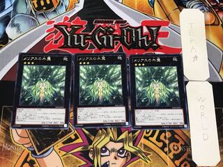 メリアスの木霊 1 レア 3枚セット てら