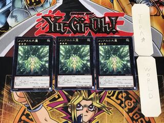 メリアスの木霊 3 レア 3枚セット てら