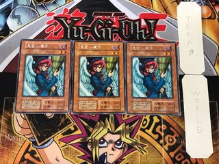 Witch's Apprentice 1 Early Rare Set of 3 Tera.