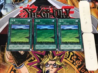 Grasslands 2nd period ver 1 rare set of 3 tera