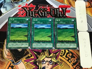 Grasslands 2nd period ver 3 rare set of 3 tera