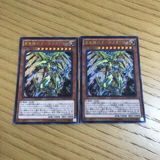 【ミヤビ様専用】真竜機兵ダースメタトロン 2枚セット