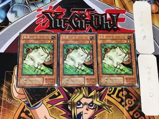 Nimble Momonga 2nd period ver 1 rare set of 3 tera