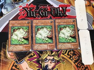 Nimble Momonga 2nd period ver 3 rare set of 3 tera