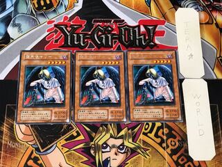 Darklord Marie (Updated from: Marie the Fallen One) 2nd period ver 1 Rare set of 3 Tera