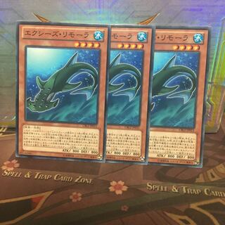 アンコウ エクシーズ・リモーラ 3枚