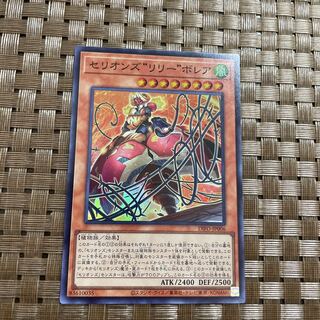 セリオンズリリーボレア　スーパー